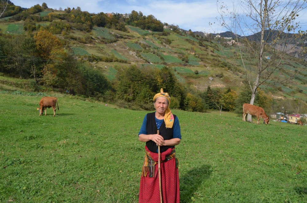 Trabzonlu kadın hayatını ineklerine adadı 