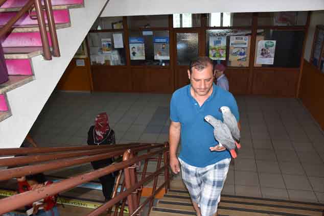 Trabzon'da sandık başına papağanlarıyla gitti