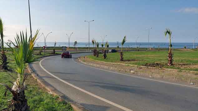 Trabzon'da sahile 100 palmiye 