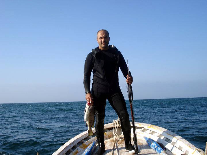 Karadeniz'de şaşırtan misafir: Fok balığı görüldü
