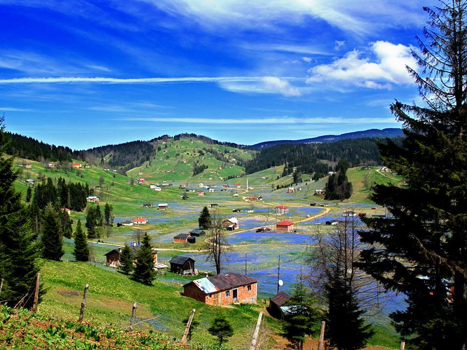 Trabzon'da şok iddia! Kadıralak Yaylası beton mu olacak? 