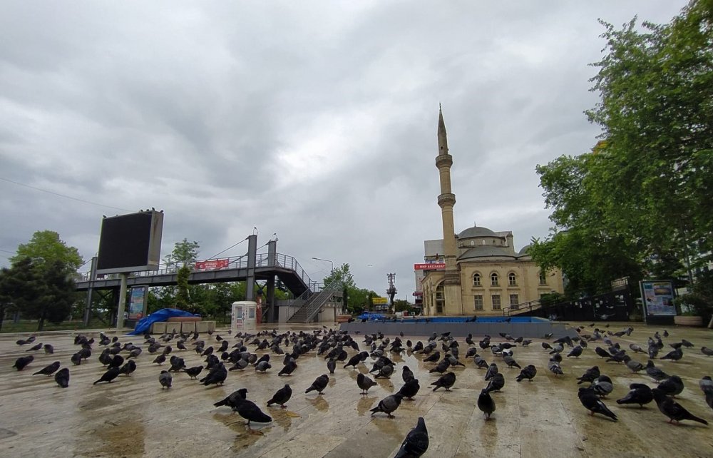 Akçaabat'ta meydan güvercinlere kaldı