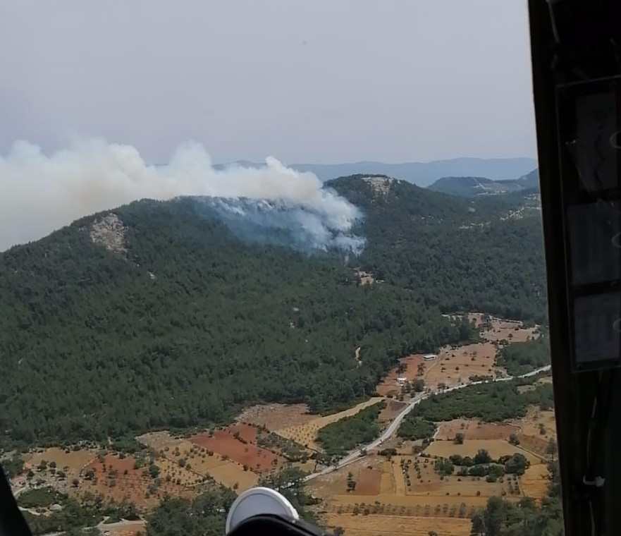 Muğla Milas’ta orman yangını