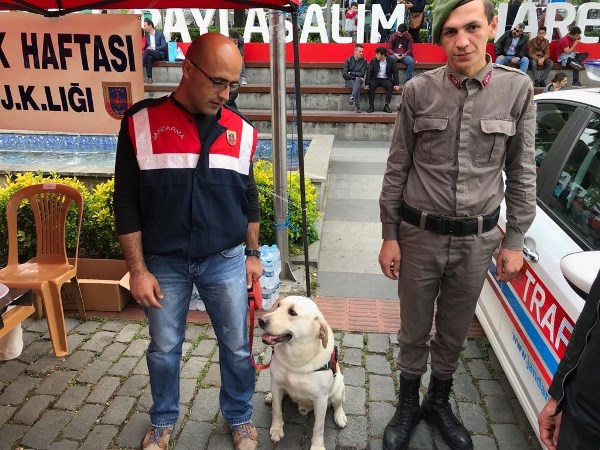 Trabzon'da alkol gözlüğü ilgi odağı oldu 
