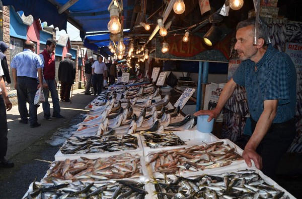 Trabzon'da balık yarı yarıya azaldı, fiyatı tırmandı