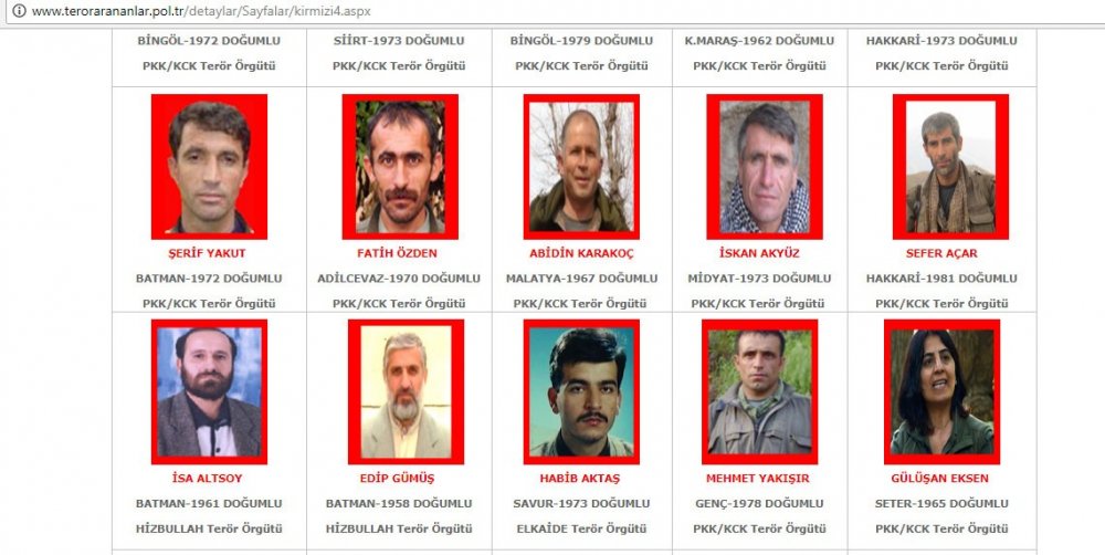 Karadeniz'de Fındık Dalı Harekatı: Arananlar listesindeki 3 terörist Karadeniz'de