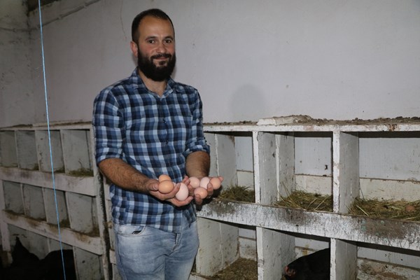 Rizeli genç girişimci mesleğini bıraktı tavuk çiftliği kurdu 