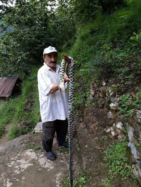 Trabzon'da bulunan yılanla ilgili gerçek ortaya çıktı