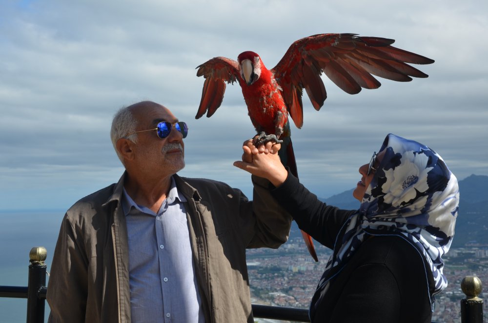 Macaw cinsi papağan, Boztepe’de yoğun ilgi görüyor 