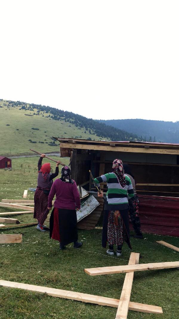Trabzon'da yaylacı kadınlar kaçak yapıyı böyle yıktı