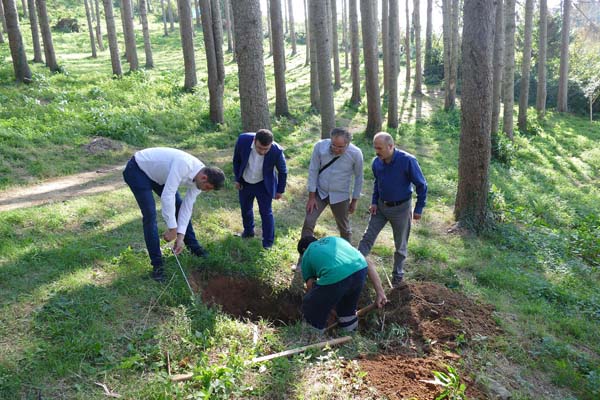 Atatürk Köşkü Ormanı'nda ağaçlar neden kuruyor? - Komisyon çalışmalara başladı