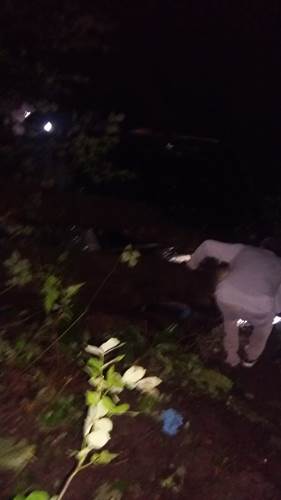 Trabzon'da yayla dönüşü kaza - 8 yaralı