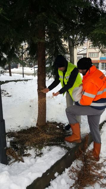 Trabzon'da hayvanlar unutulmadı!