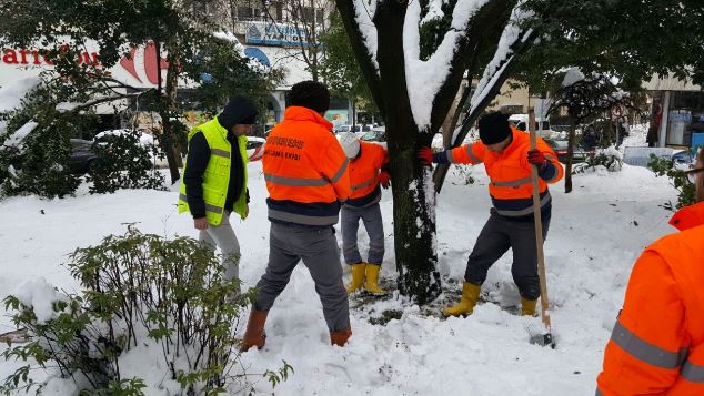 Trabzon'da hayvanlar unutulmadı!