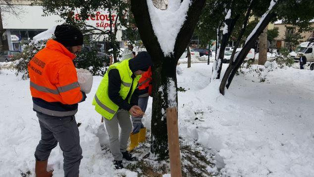 Trabzon'da hayvanlar unutulmadı!