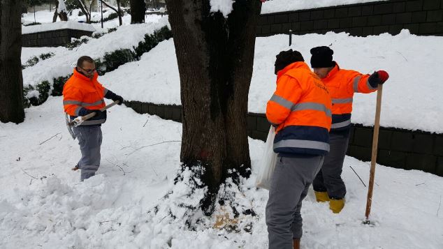 Trabzon'da hayvanlar unutulmadı!