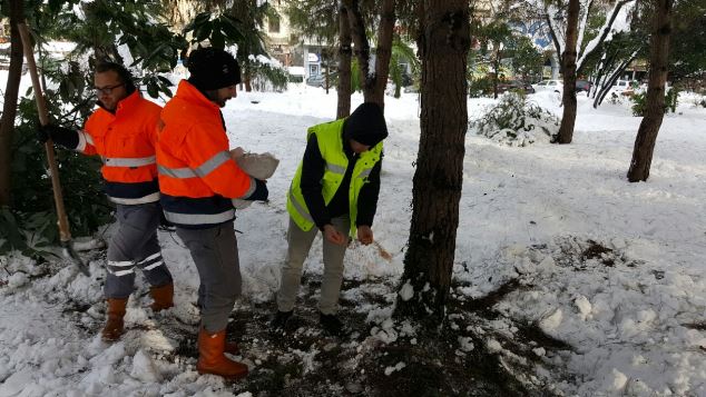 Trabzon'da hayvanlar unutulmadı!