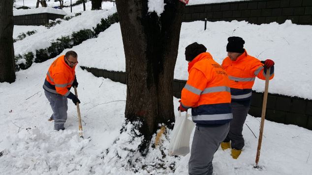 Trabzon'da hayvanlar unutulmadı!