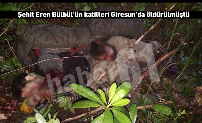 Eren Bülbül’ü şehit eden terörist 'Türk Tarık' Karadeniz’de köşeye sıkıştı