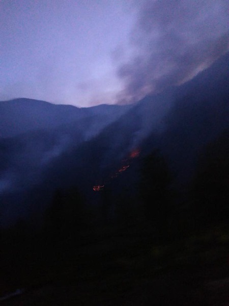 Rize'de ormanda örtü yangını çıktı