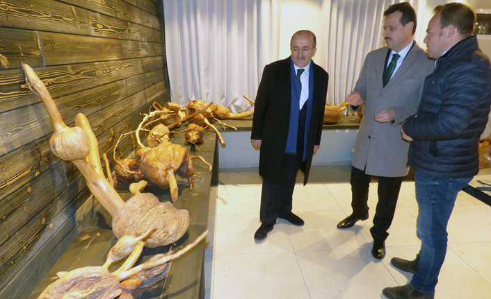 Trabzon'da Bitki Kütüphanesi ve Kök Müzesi açılıyor