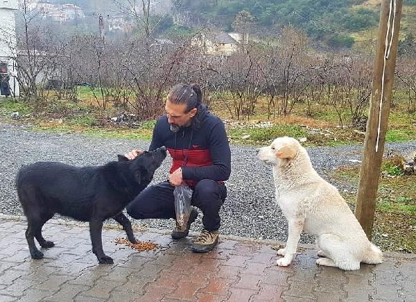 Trabzon'da donmak üzere bulduğu köpeği kilometrelerce taşıyıp kurtardı