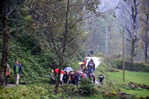 Rize'de Büyük Dere ve Pazar Çayı davasında ÇED olumlu raporu iptal edildi