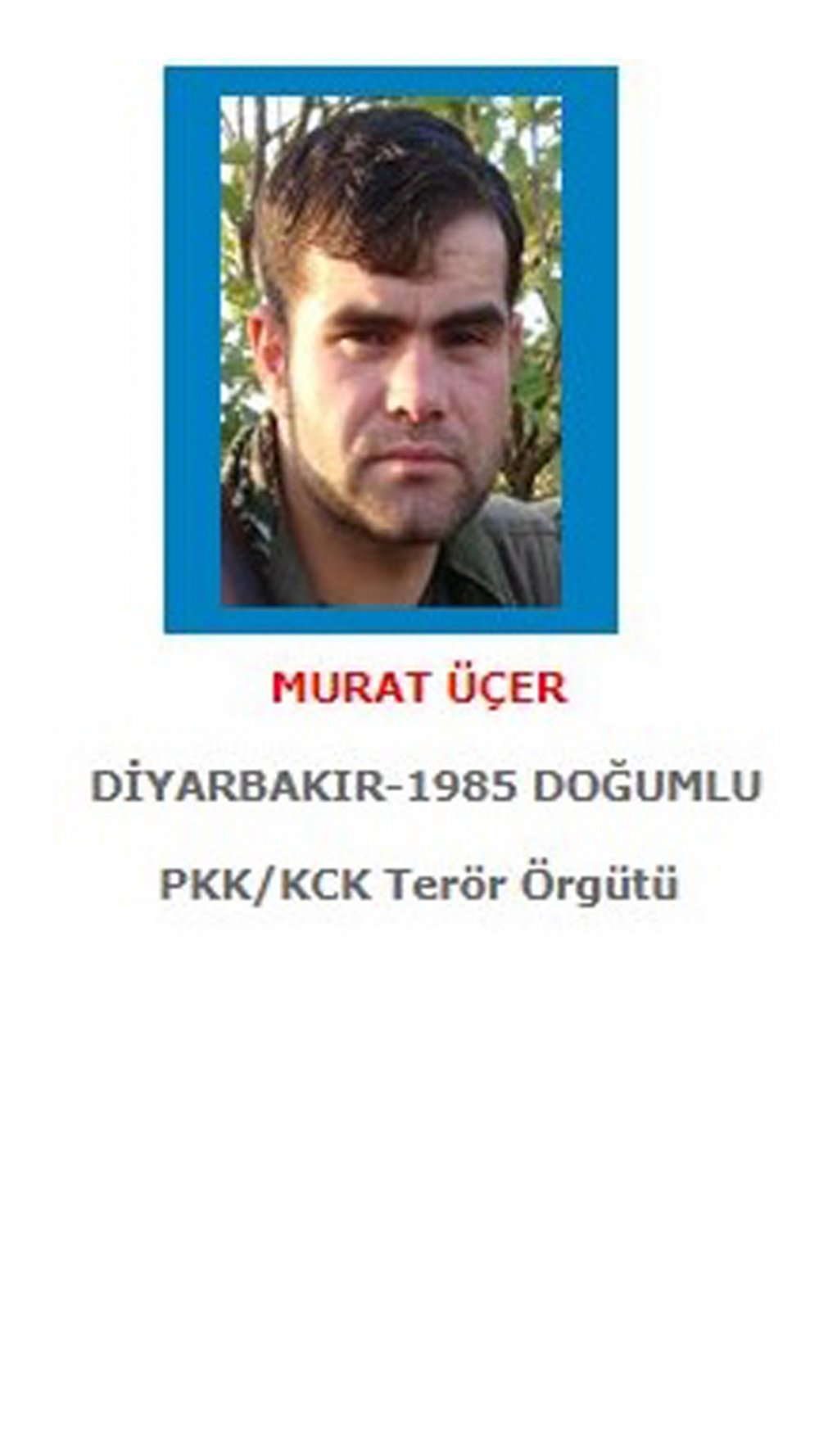 Mavi listede yer alan PKK'nın bölge sorumlusu öldürüldü