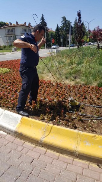 Boruya düşen kaplumbağaya kurtarma operasyonu