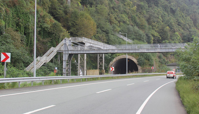 Karadeniz'de bir garip üstgeçit