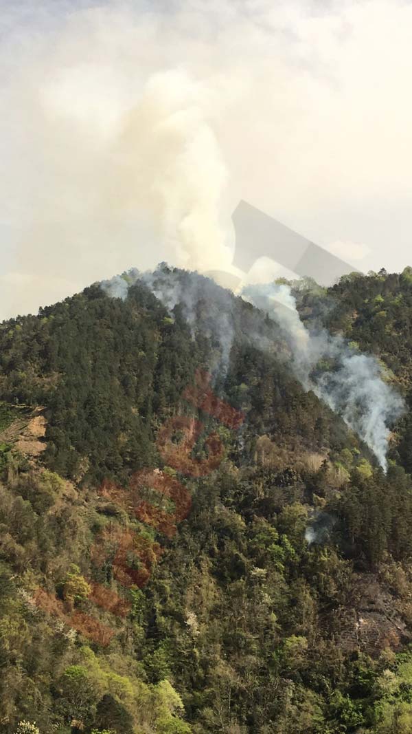 Trabzon'da yangın: Ekipleri sevkedildi